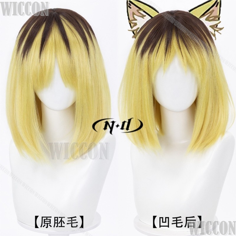 Yanineko Hamenko 2026 Anime Ch – Anime Cosplay Events 2026 Bewertung und Preis